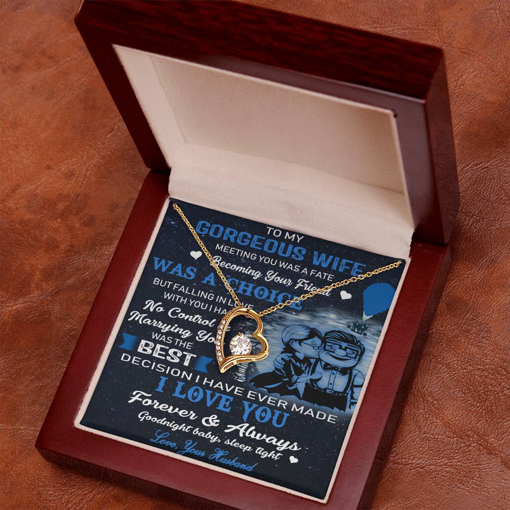 (x9c) to my wife-meeting you was fate-carl & ellie-up - family- neckklace