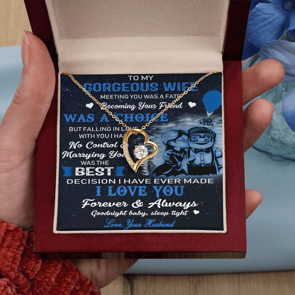 (x9c) to my wife-meeting you was fate-carl & ellie-up - family- neckklace