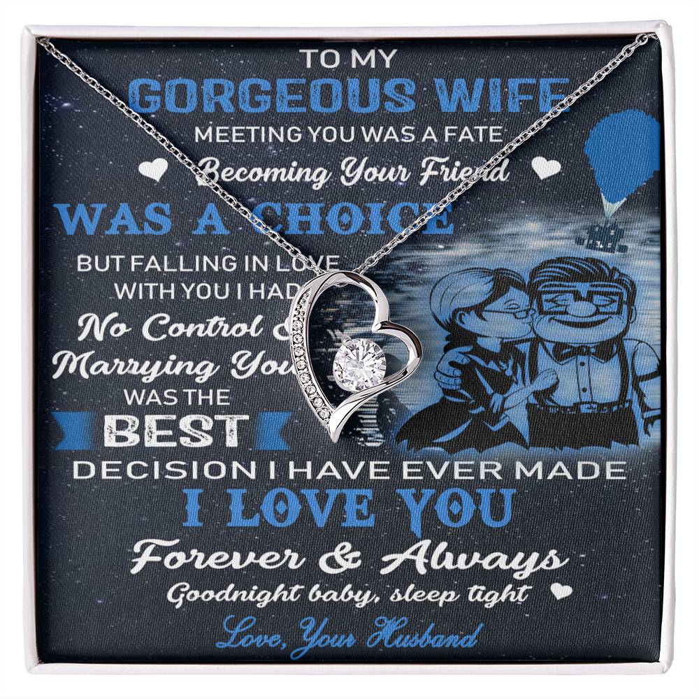 (x9c) to my wife-meeting you was fate-carl & ellie-up - family- neckklace