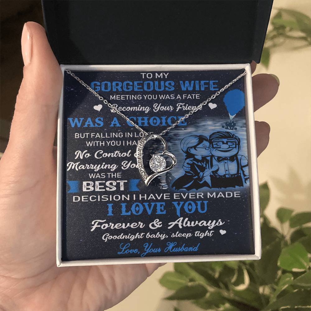 (x9c) to my wife-meeting you was fate-carl & ellie-up - family- neckklace