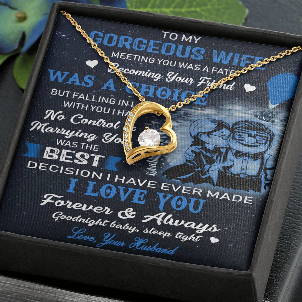 (x9c) to my wife-meeting you was fate-carl & ellie-up - family- neckklace