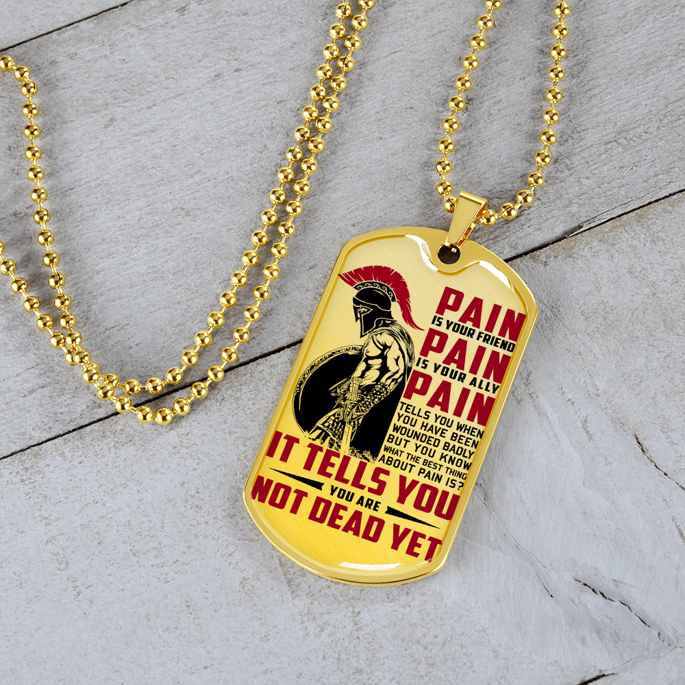 Warrior - Spartan - PAIN - You Are Not Dead Yet - Luxury Dog Tag - Military Ball Chain