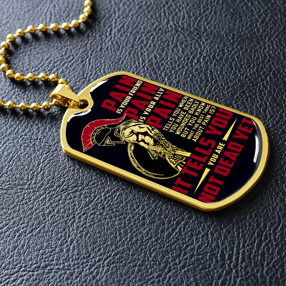 Warrior - Spartan - PAIN - You Are Not Dead Yet - Black - Luxury Dog Tag - Military Ball Chain