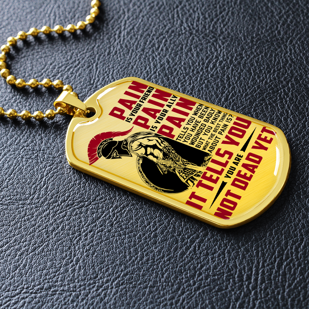 Warrior - Spartan - PAIN - You Are Not Dead Yet - Luxury Dog Tag - Military Ball Chain