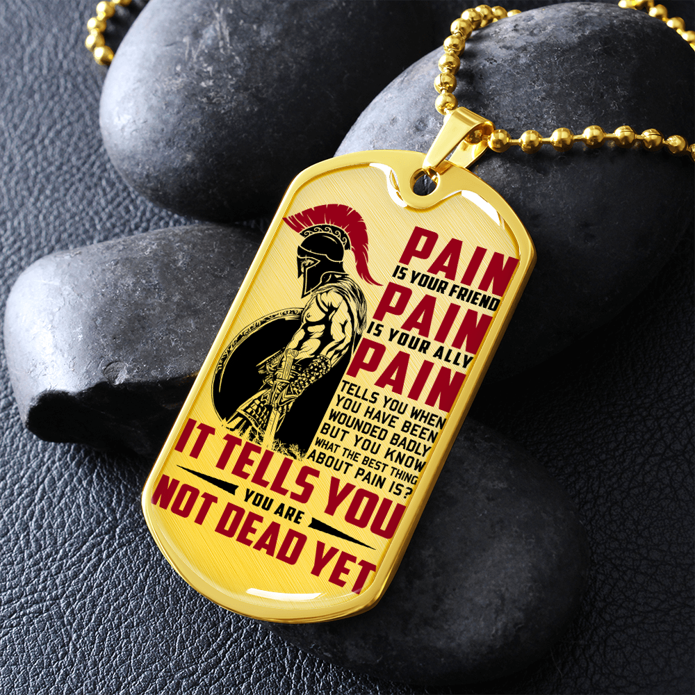 Warrior - Spartan - PAIN - You Are Not Dead Yet - Luxury Dog Tag - Military Ball Chain