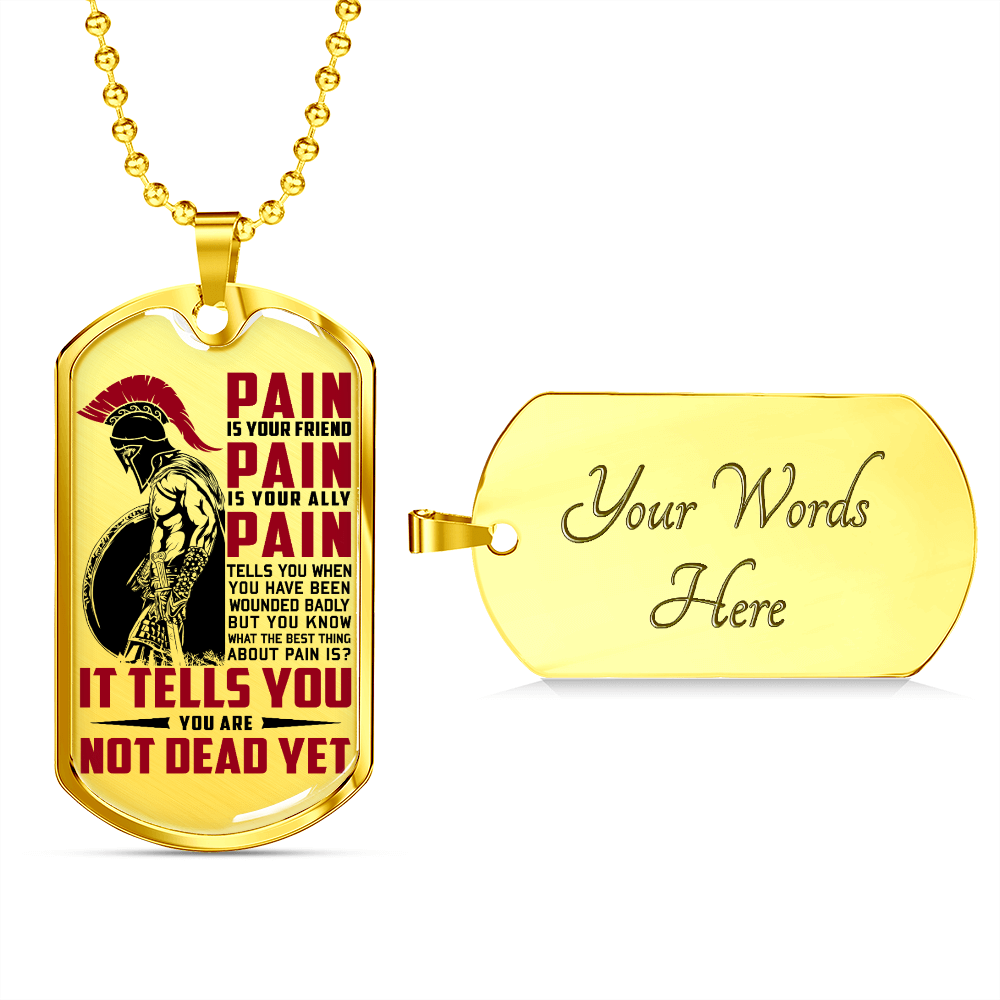 Warrior - Spartan - PAIN - You Are Not Dead Yet - Luxury Dog Tag - Military Ball Chain
