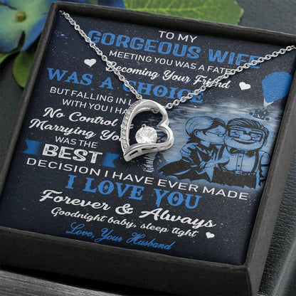 (X9c) TO MY WIFE-MEETING YOU WAS FATE-Carl & Ellie-UP - Family- NECKKLACE